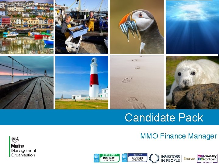 Candidate Pack MMO Finance Manager 