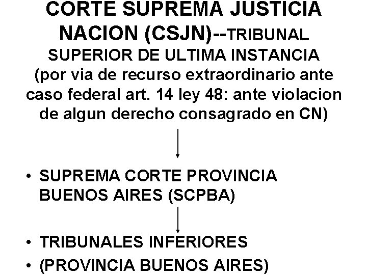 CORTE SUPREMA JUSTICIA NACION (CSJN)--TRIBUNAL SUPERIOR DE ULTIMA INSTANCIA (por via de recurso extraordinario