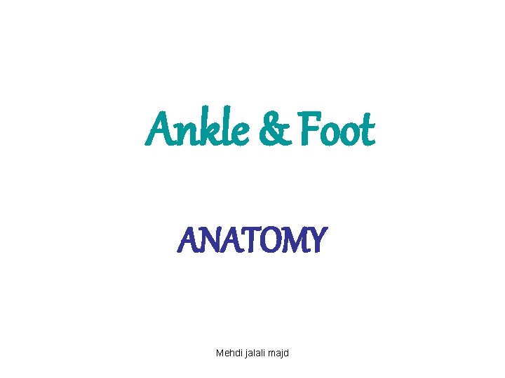 Ankle & Foot ANATOMY Mehdi jalali majd 