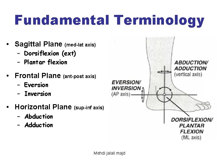 Fundamental Terminology • Sagittal Plane (med-lat axis) – Dorsiflexion (ext) – Plantar flexion •