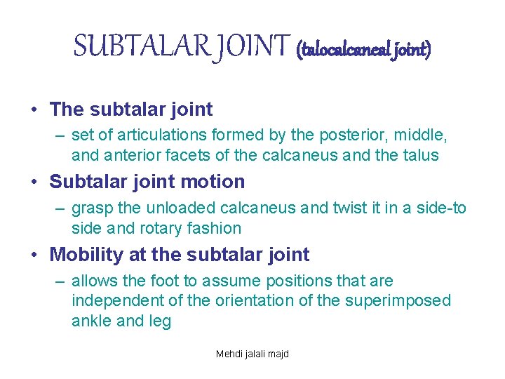 SUBTALAR JOINT (talocalcaneal joint) • The subtalar joint – set of articulations formed by