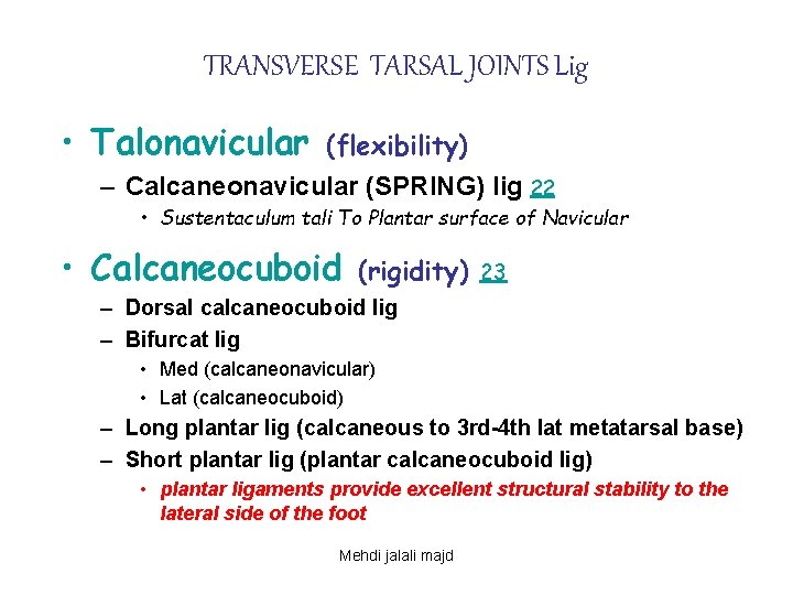 TRANSVERSE TARSAL JOINTS Lig • Talonavicular (flexibility) – Calcaneonavicular (SPRING) lig 22 • Sustentaculum