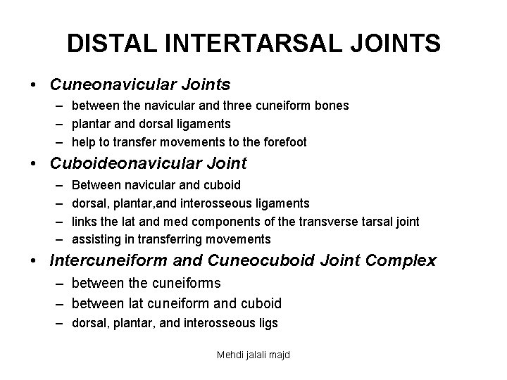 DISTAL INTERTARSAL JOINTS • Cuneonavicular Joints – between the navicular and three cuneiform bones