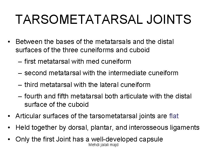 TARSOMETATARSAL JOINTS • Between the bases of the metatarsals and the distal surfaces of