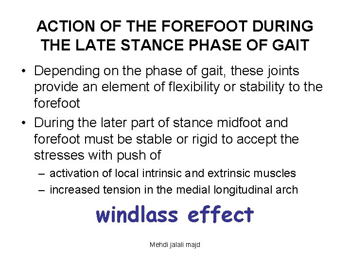 ACTION OF THE FOREFOOT DURING THE LATE STANCE PHASE OF GAIT • Depending on