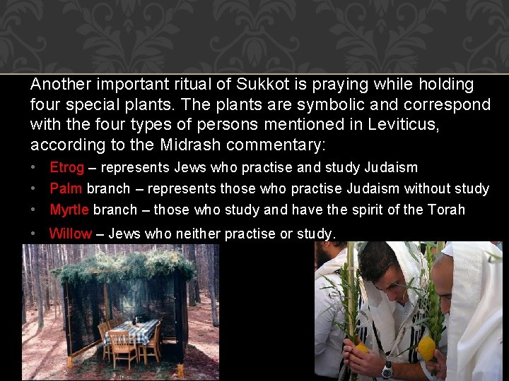 Another important ritual of Sukkot is praying while holding four special plants. The plants