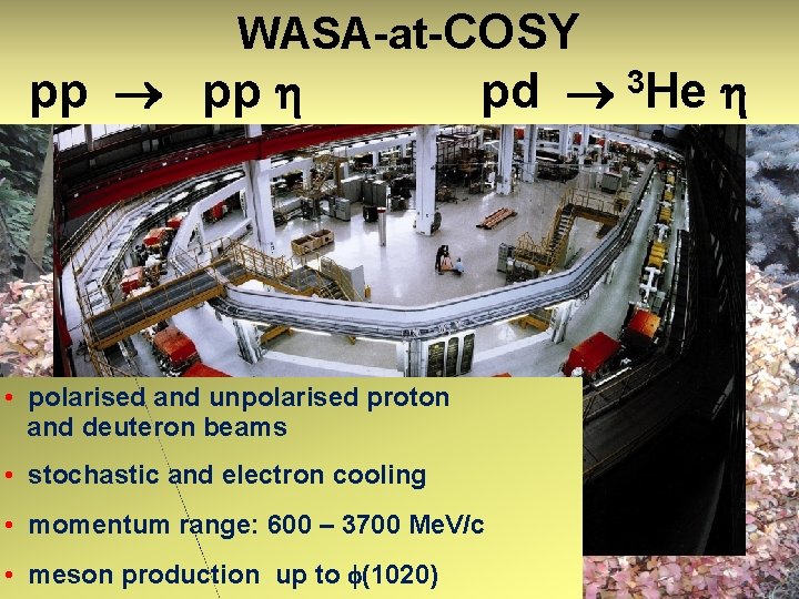 WASA-at-COSY pp pp pd • polarised and unpolarised proton and deuteron beams • stochastic WASA-at-COSY pp pp pd • polarised and unpolarised proton and deuteron beams • stochastic