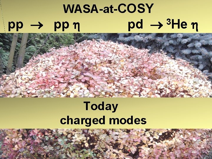 WASA-at-COSY pp pp pd Today charged modes 3 He WASA-at-COSY pp pp pd Today charged modes 3 He