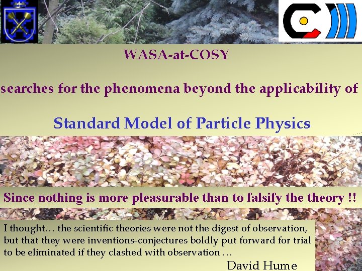 WASA-at-COSY searches for the phenomena beyond the applicability of Standard Model of Particle Physics WASA-at-COSY searches for the phenomena beyond the applicability of Standard Model of Particle Physics