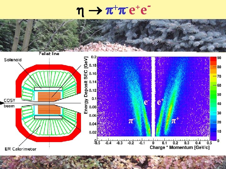 + e e IN PREPARATION …. + e e IN PREPARATION ….