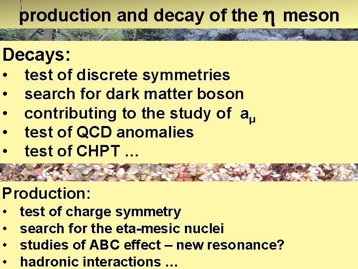 production and decay of the meson Decays: • • • test of discrete symmetries production and decay of the meson Decays: • • • test of discrete symmetries