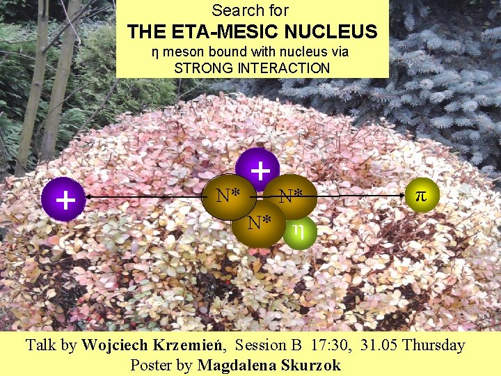 Search for THE ETA-MESIC NUCLEUS η meson bound with nucleus via STRONG INTERACTION + Search for THE ETA-MESIC NUCLEUS η meson bound with nucleus via STRONG INTERACTION +