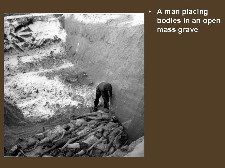  • A man placing bodies in an open mass grave 