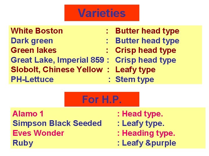 Varieties White Boston : Dark green : Green lakes : Great Lake, Imperial 859