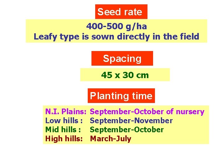 Seed rate 400 -500 g/ha Leafy type is sown directly in the field Spacing
