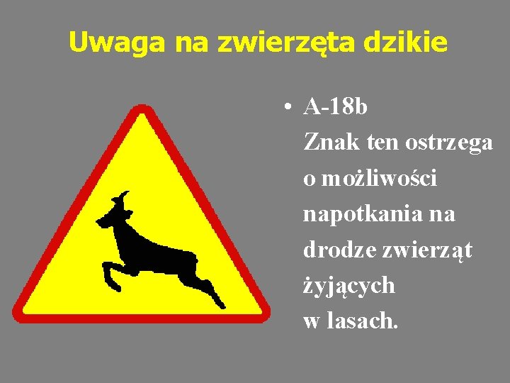 Uwaga na zwierzęta dzikie • A-18 b Znak ten ostrzega o możliwości napotkania na