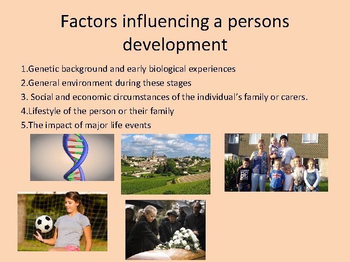 Factors influencing a persons development 1. Genetic background and early biological experiences 2. General