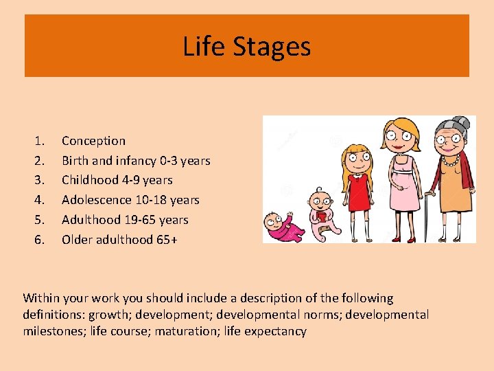 Life Stages 1. 2. 3. 4. 5. 6. Conception Birth and infancy 0 -3