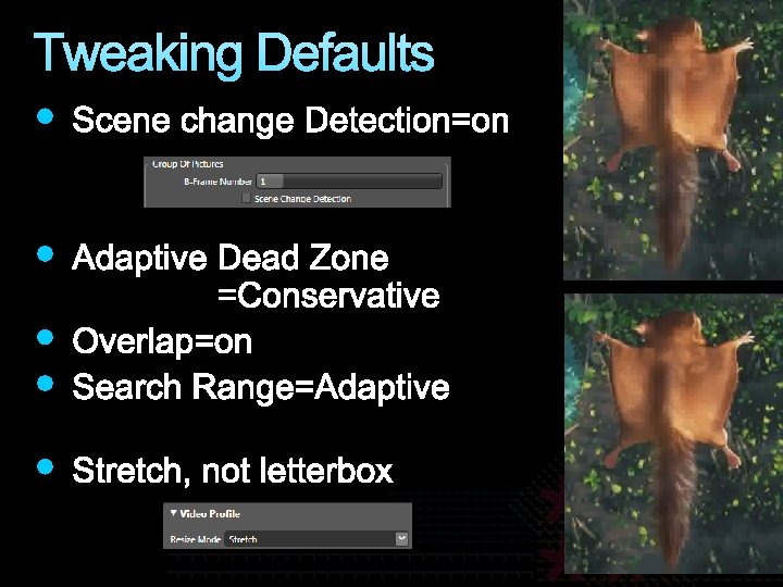 Tweaking Defaults 