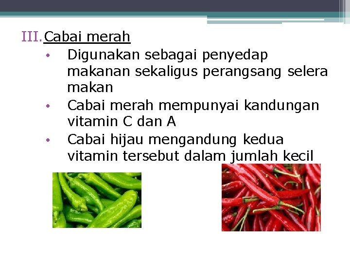 III. Cabai merah • Digunakan sebagai penyedap makanan sekaligus perangsang selera makan • Cabai