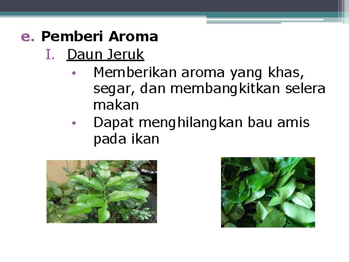 e. Pemberi Aroma I. Daun Jeruk • Memberikan aroma yang khas, segar, dan membangkitkan