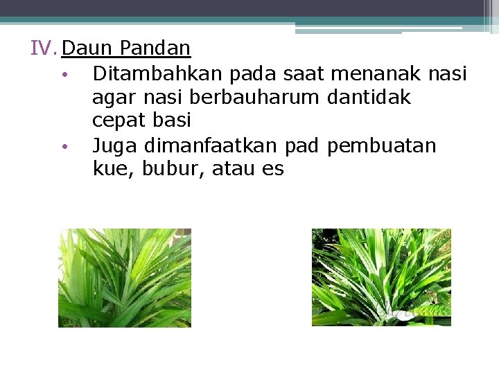 IV. Daun Pandan • Ditambahkan pada saat menanak nasi agar nasi berbauharum dantidak cepat