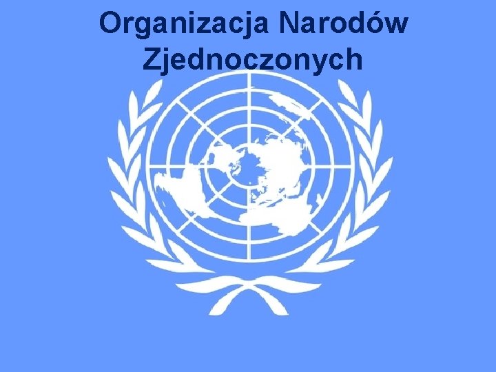 Organizacja Narodów Zjednoczonych 