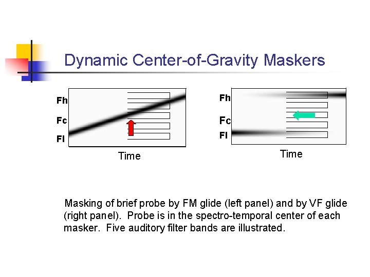 Dynamic Center-of-Gravity Maskers Fh Fh Fc Fc Fl Fl Time Masking of brief probe