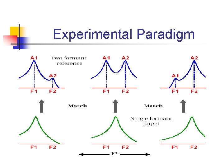 Experimental Paradigm 