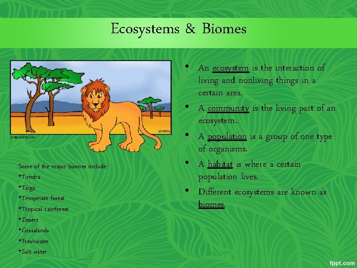 Ecosystems & Biomes Some of the major biomes include: • Tundra • Taiga •