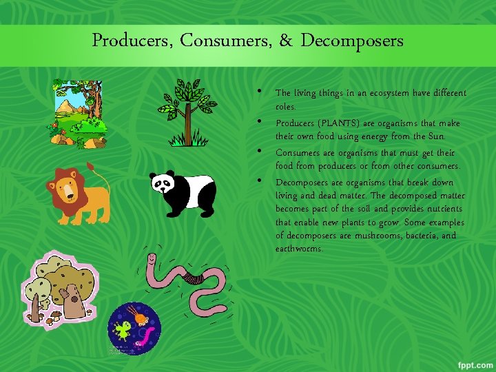 Producers, Consumers, & Decomposers • The living things in an ecosystem have different roles.