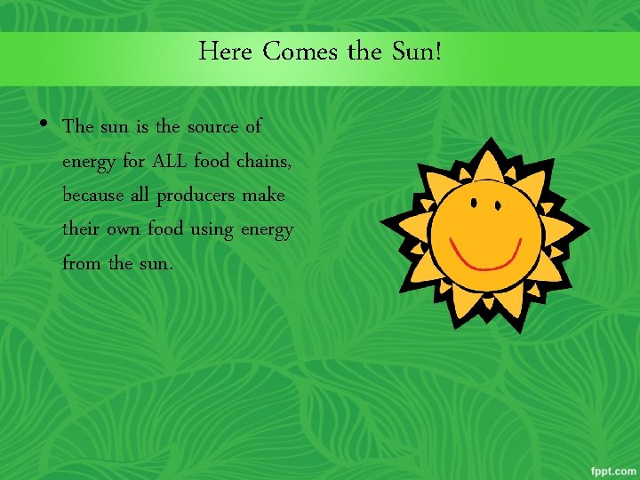 Here Comes the Sun! • The sun is the source of energy for ALL