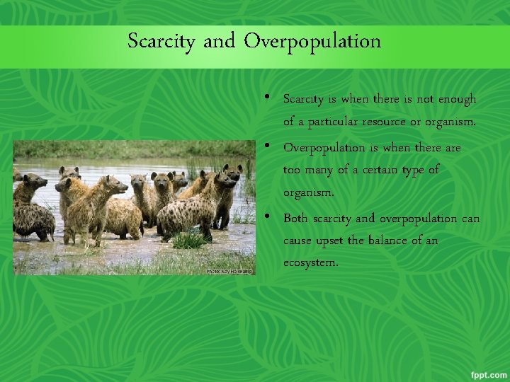 Scarcity and Overpopulation • Scarcity is when there is not enough of a particular