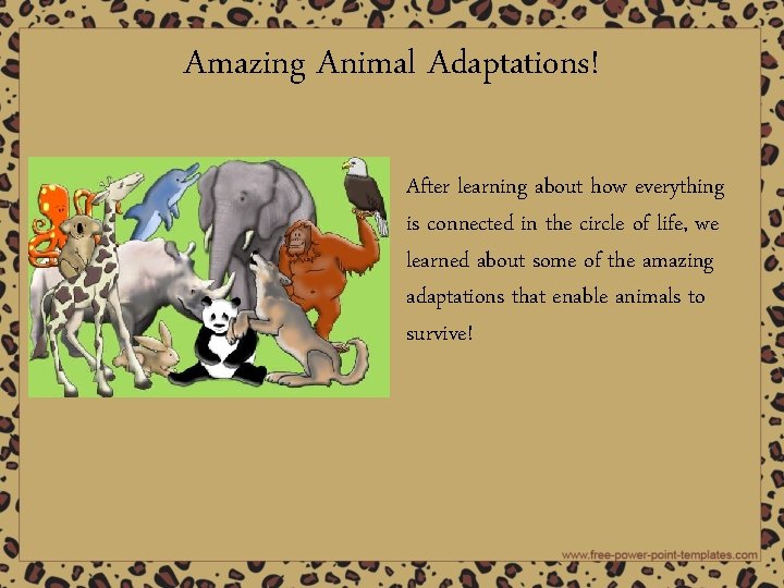 Amazing Animal Adaptations! After learning about how everything is connected in the circle of