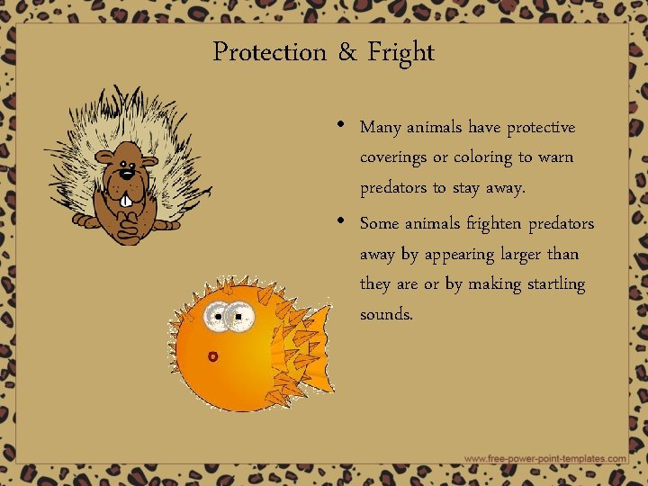 Protection & Fright • Many animals have protective coverings or coloring to warn predators