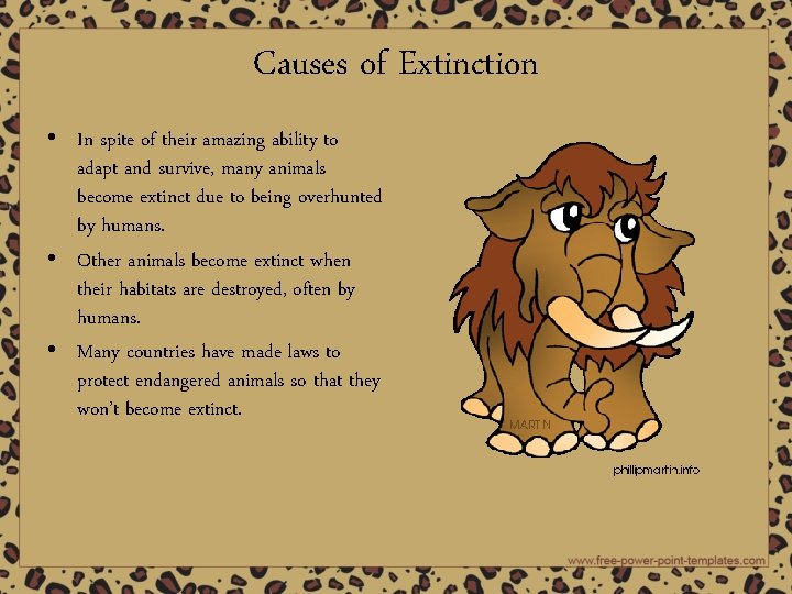 Causes of Extinction • In spite of their amazing ability to adapt and survive,