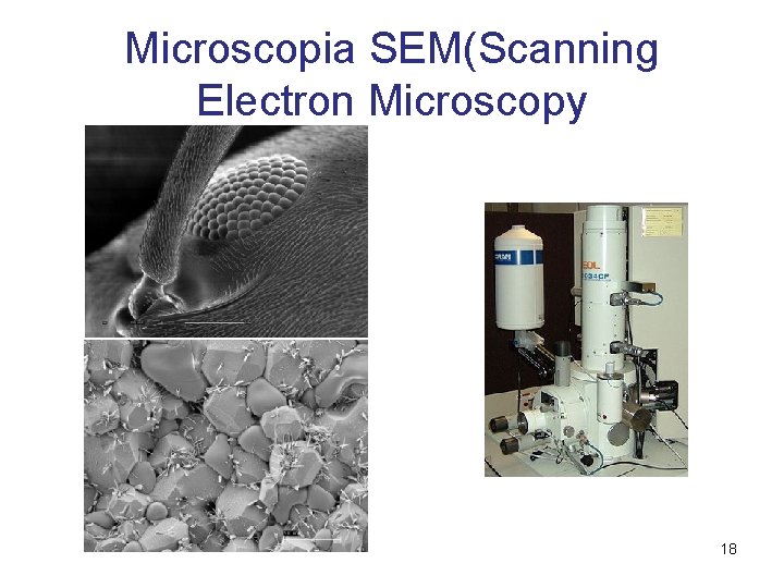 Microscopia SEM(Scanning Electron Microscopy 18 