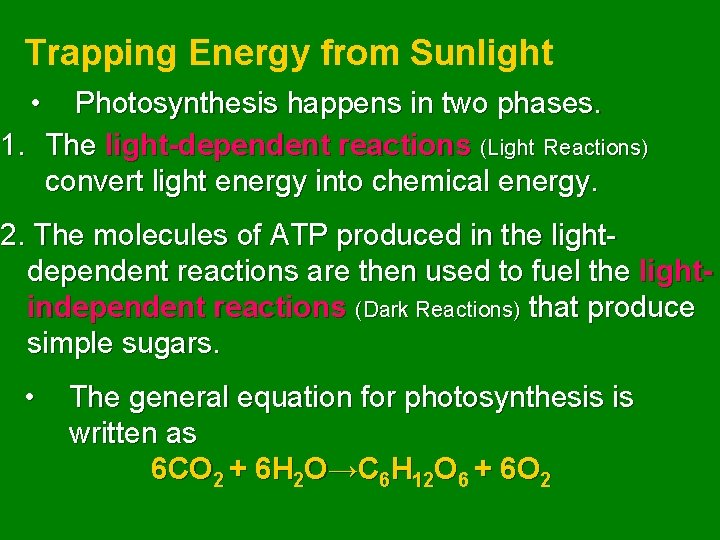 Trapping Energy from Sunlight • Photosynthesis happens in two phases. 1. The light-dependent reactions