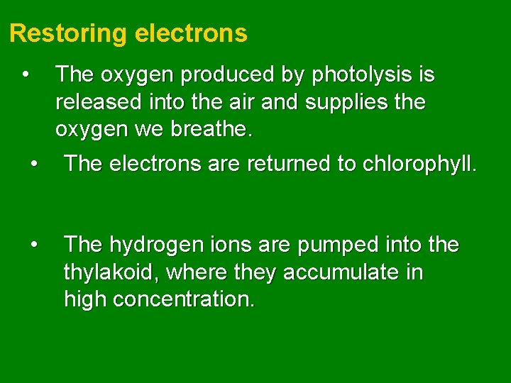 Restoring electrons • The oxygen produced by photolysis is released into the air and