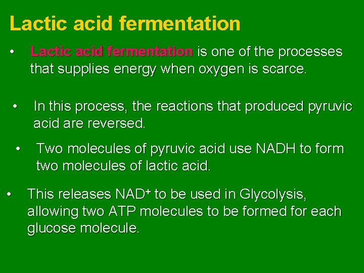 Lactic acid fermentation • Lactic acid fermentation is one of the processes that supplies