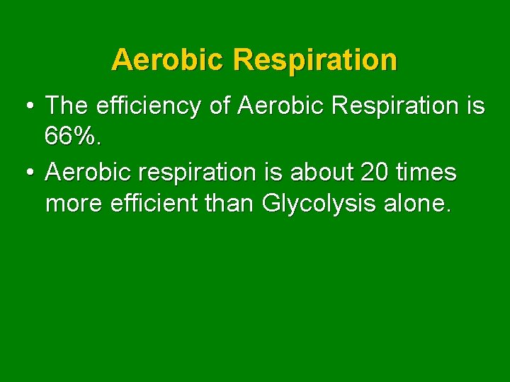 Aerobic Respiration • The efficiency of Aerobic Respiration is 66%. • Aerobic respiration is