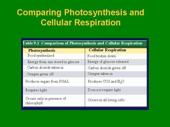 Comparing Photosynthesis and Cellular Respiration Table 9. 1 Comparison of Photosynthesis and Cellular Respiration