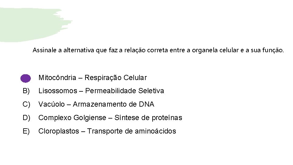 Assinale a alternativa que faz a relação correta entre a organela celular e a