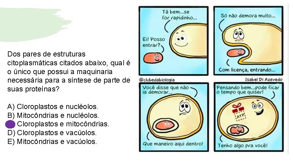 Dos pares de estruturas citoplasmáticas citados abaixo, qual é o único que possui a