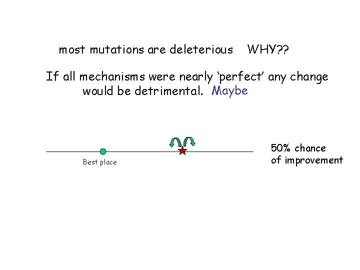 most mutations are deleterious WHY? ? If all mechanisms were nearly ‘perfect’ any change