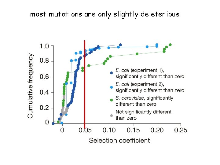 most mutations are only slightly deleterious 