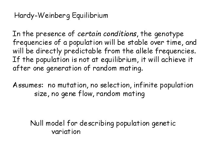 Hardy-Weinberg Equilibrium In the presence of certain conditions, the genotype frequencies of a population