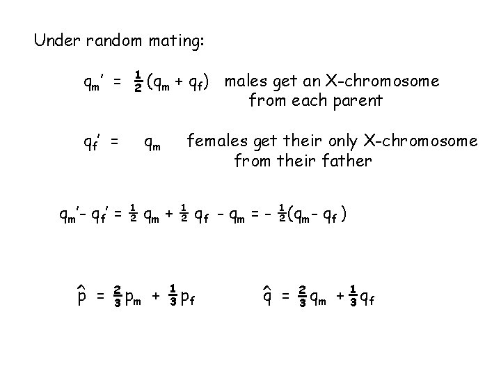 Under random mating: qm ’ = qf ’ = 1 2 (qm + qf)