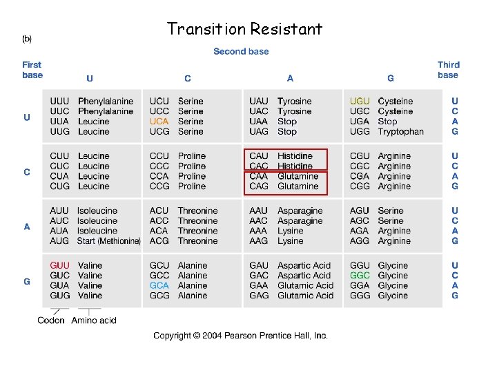 Transition Resistant 