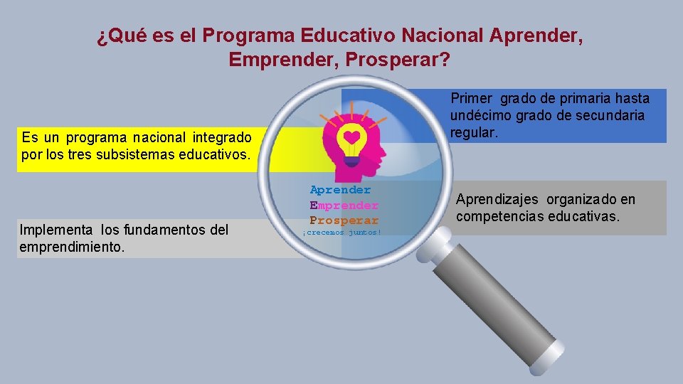 ¿Qué es el Programa Educativo Nacional Aprender, Emprender, Prosperar? Primer grado de primaria hasta